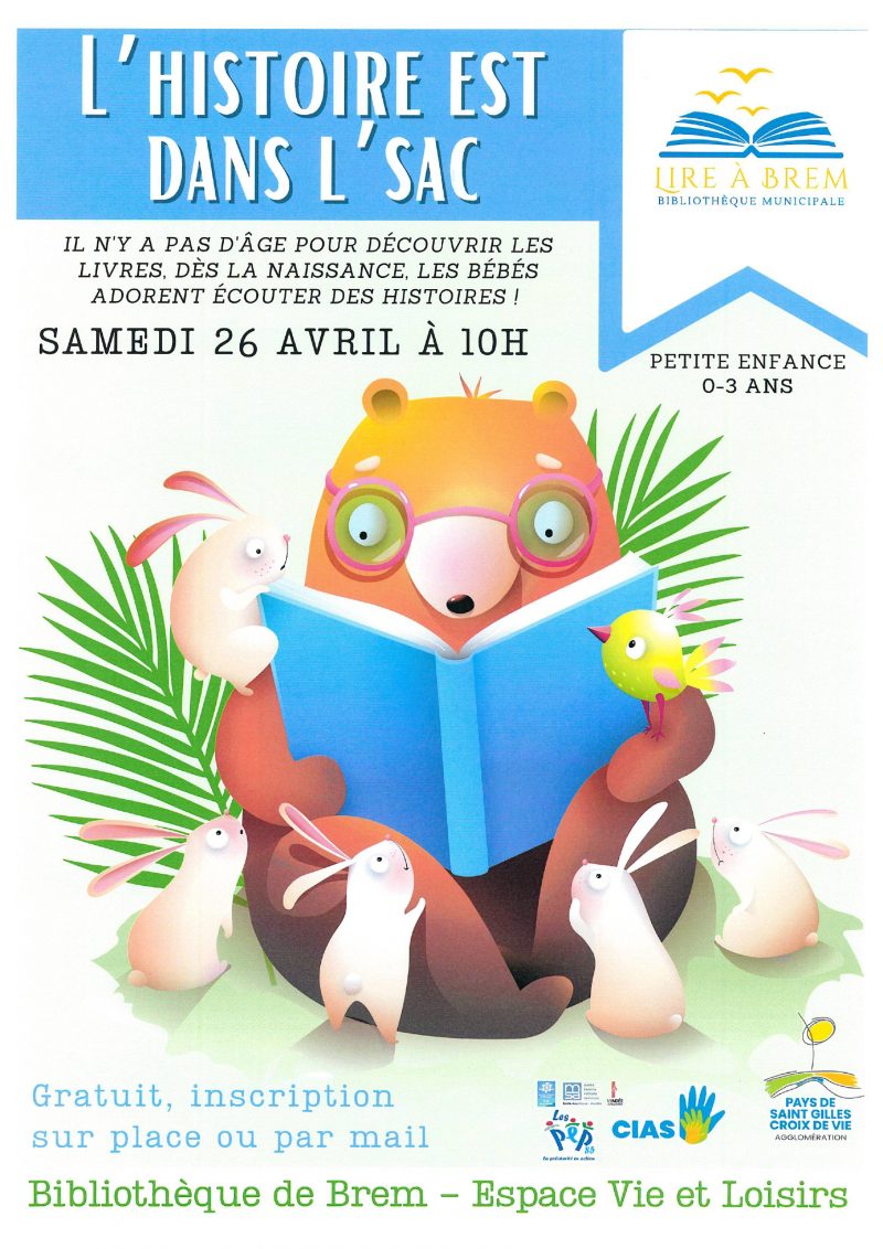 Affiche de l'histoire est dans le sac
